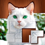 Jigsaw Puzzles Blocks Download on Apple App Store